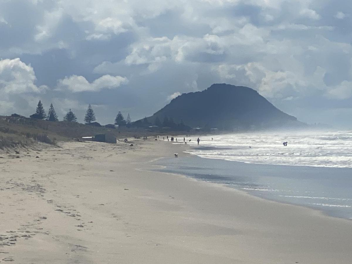 Superb beachside location, private&tranquil Appartamento Mount Maunganui Esterno foto